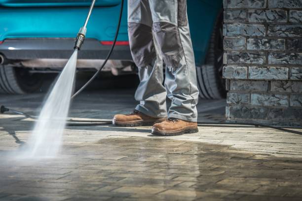 Best Fleet Vehicle Washing  in Punta Gorda, FL