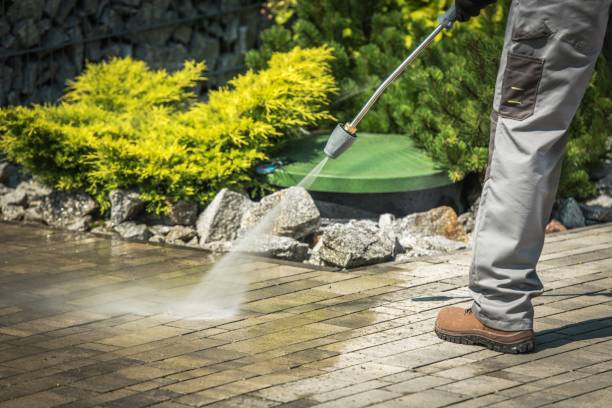 Best Winterizing Services  in Punta Gorda, FL