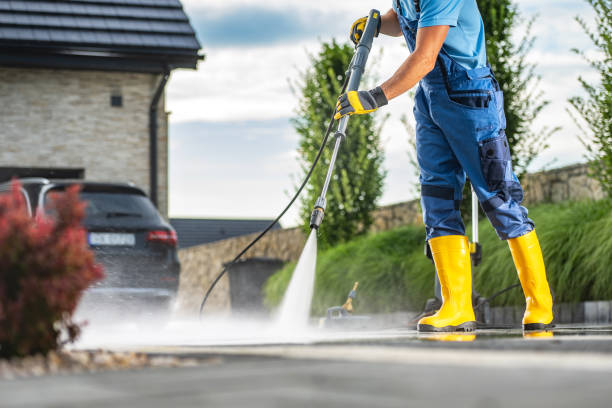 Best Driveway Pressure Washing  in Punta Gorda, FL